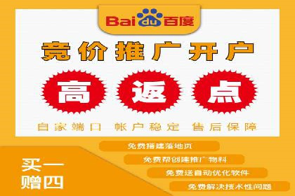 百度推广优化策略：成功案例解析